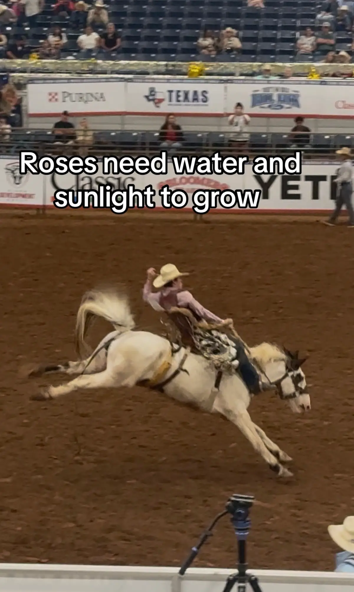 #viral #godisgood #fyp #broncriding 
