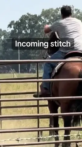 Do your research on who you’re sending your colts to #coltstarting #horses 