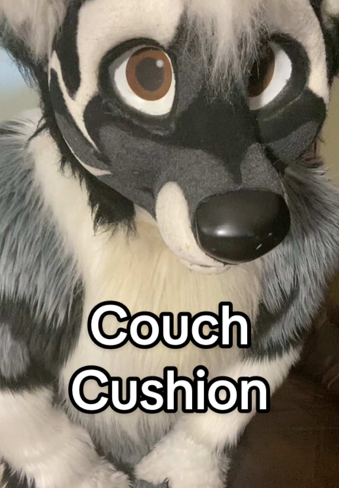 Are you this couch cushion? #furry #furryfandom #fyp #fursuitersoftiktok #fursuit #furries #furriesoftiktok #cosplay #fursuiter #stubborn #couch #furniture 