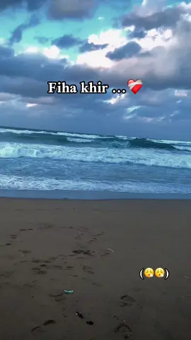#viraltiktok #Midou #🐺Mì #🇩🇿🇪🇸 #tiktok 