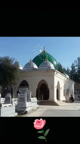 🌟❣️🌟❣️🌟❣️🌟