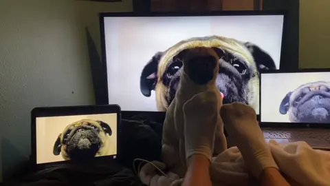 Money mmm money #money #epic #pug #fyp 