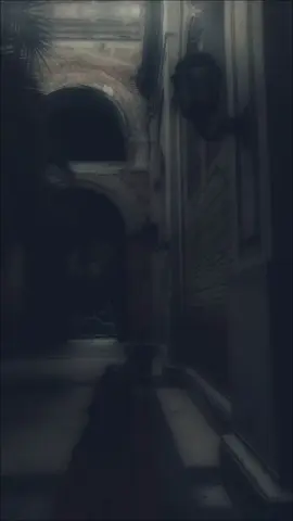 #Alkaseem #lyrc #nigertiktok🇳🇪 #vairalvideo 