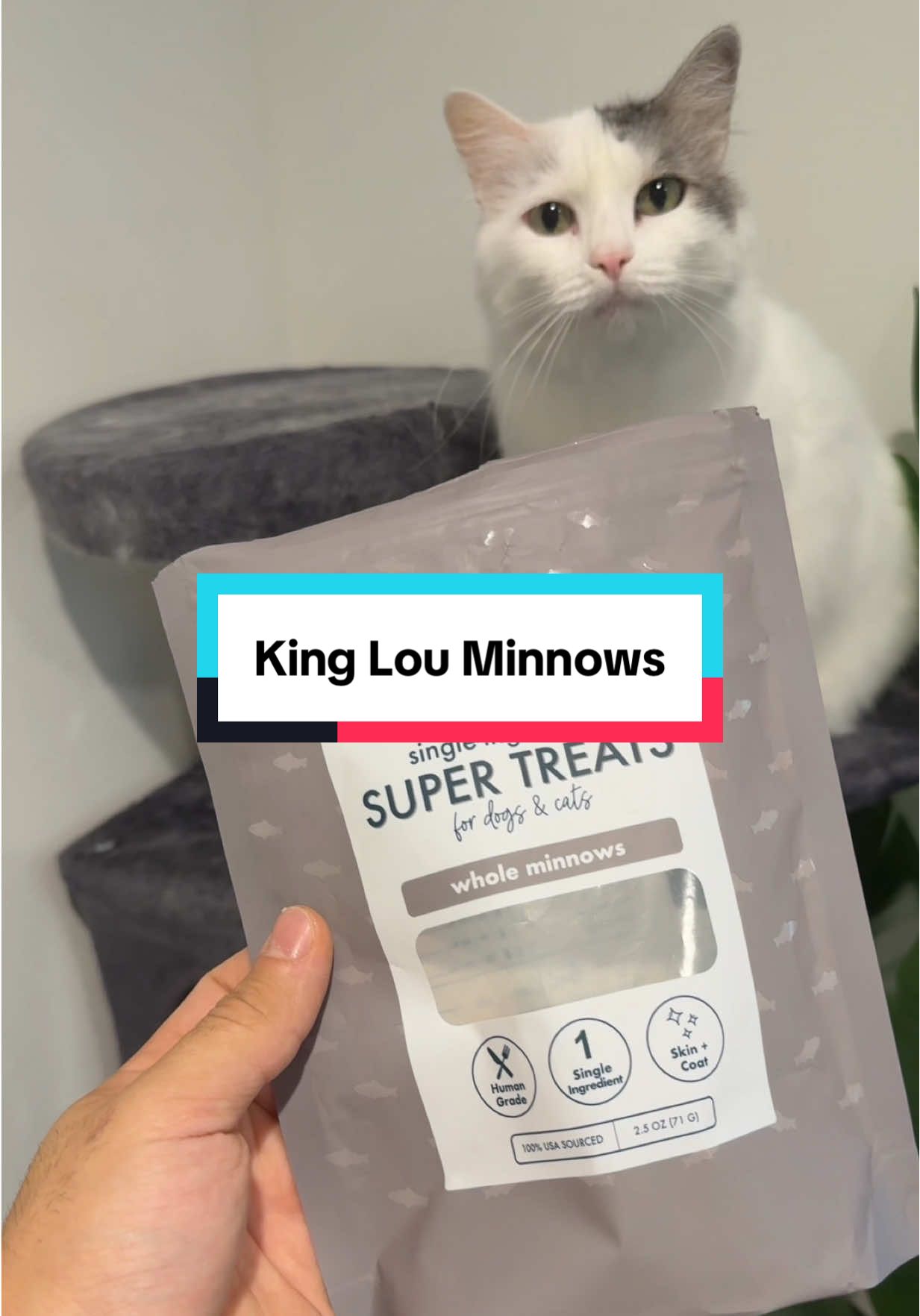 My cats favorite treat!! #healthycattreats #cattreats #cattreat #catowners #tiktokshopcreatorpicks @King Lou 
