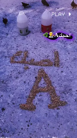 اهواي طلبو A❤#مالي_خلق_احط_هاشتاقات🦦 #anime #صعدوالفيديو 