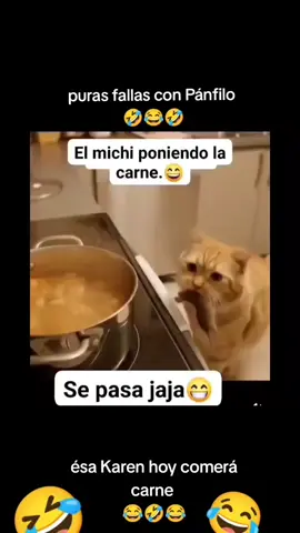 #viraltiktok #parati #Puras fallas con Pánfilo 🤣🤣😂😂😂