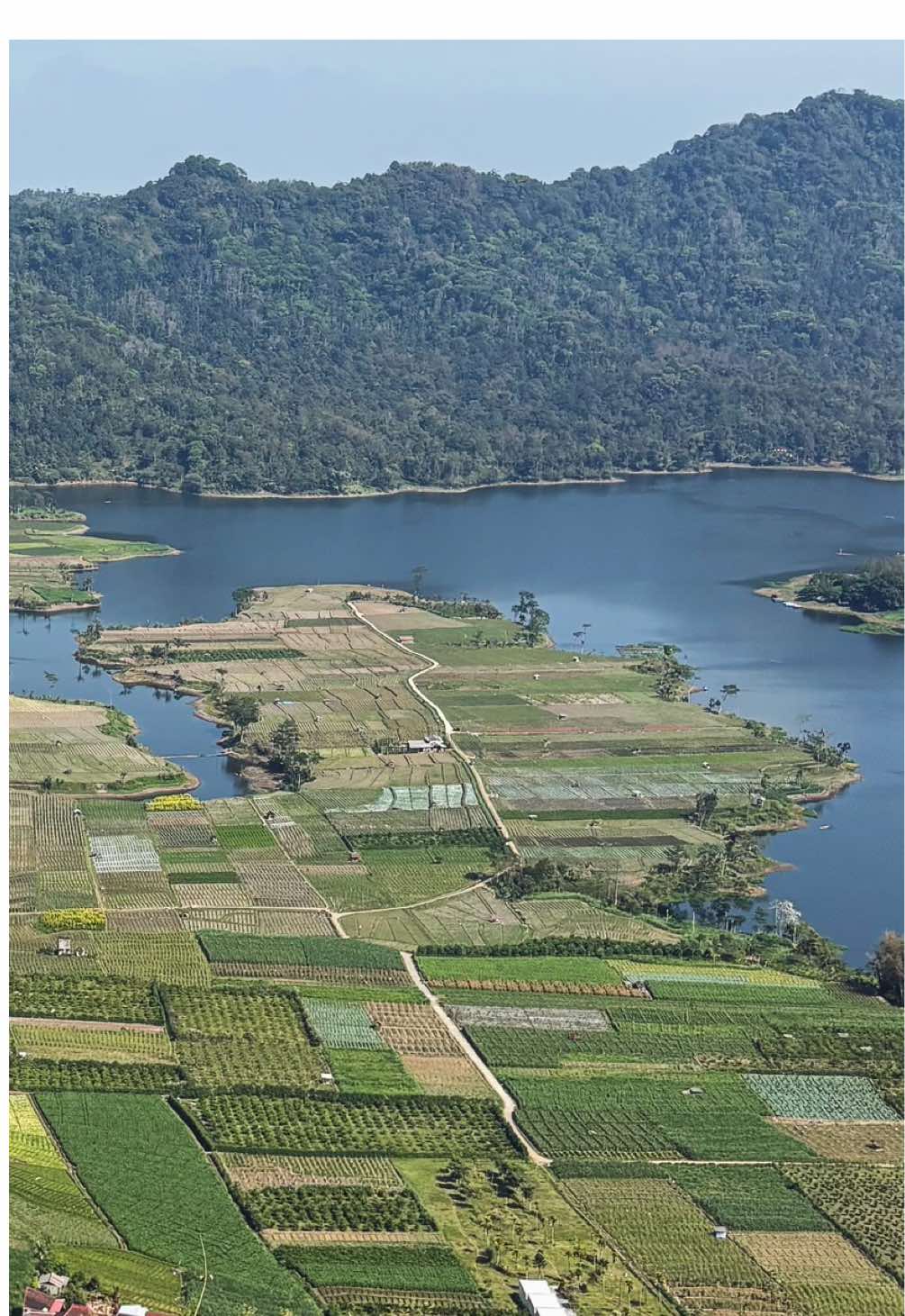 Menikmati indahnya Bendungan Selorejo dari atas  🍃💦🌤️🏞 #puncaksrege #srege #exploremalangang #explore #exploremalang #Hiking #malang #selorejongantang #selorejo #bendungan #bendunganselorejo 
