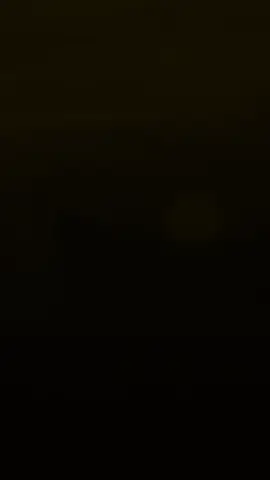 Bình minh trên cánh đồng quê..#xuhuong #foryou #typ 