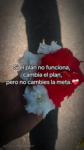 #Viral #foryou #proyectos #enfoque #metas 