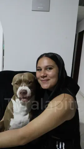 Apito hazme una foto con mi  amita 😁😁😊😊🥰🥰 #tyra #tyralapitt #viral