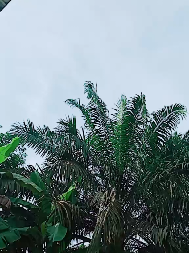 #@G𝐞𝐦𝐩𝐢𝐭𝐚 𝐦𝐨𝐭𝐨𝐫91 rumahtangga#fypシ゚#fypage#fyppppppppppppppppppppppp 