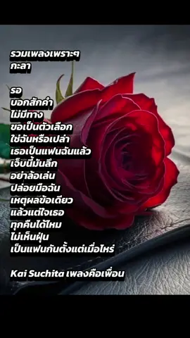 #เพลงเพราะๆ กะลา