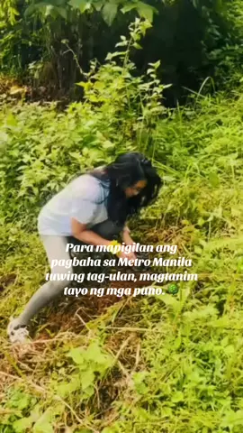 Tree Planting in Siera Madre #treeplanting #noblequuen #helpenvironment #tiktok #fyp 