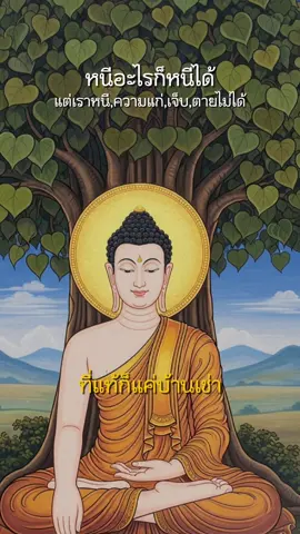 ร่างผกายนี้แค่!! #คติธรรมคำสอน #บทความดีๆ #คติเตือนใจ #ฮิตในtiktok #ปรัชญาชีวิต #สตอรี่ความรู้สึก #พระพุทธศาสนา 