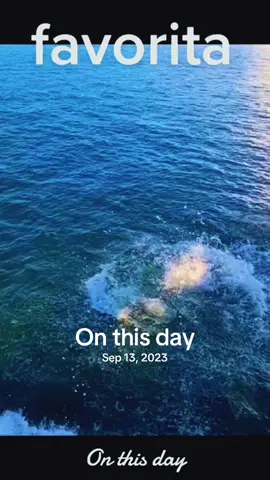 #salsabaul #williecolon #viralvideo #parati #musica 