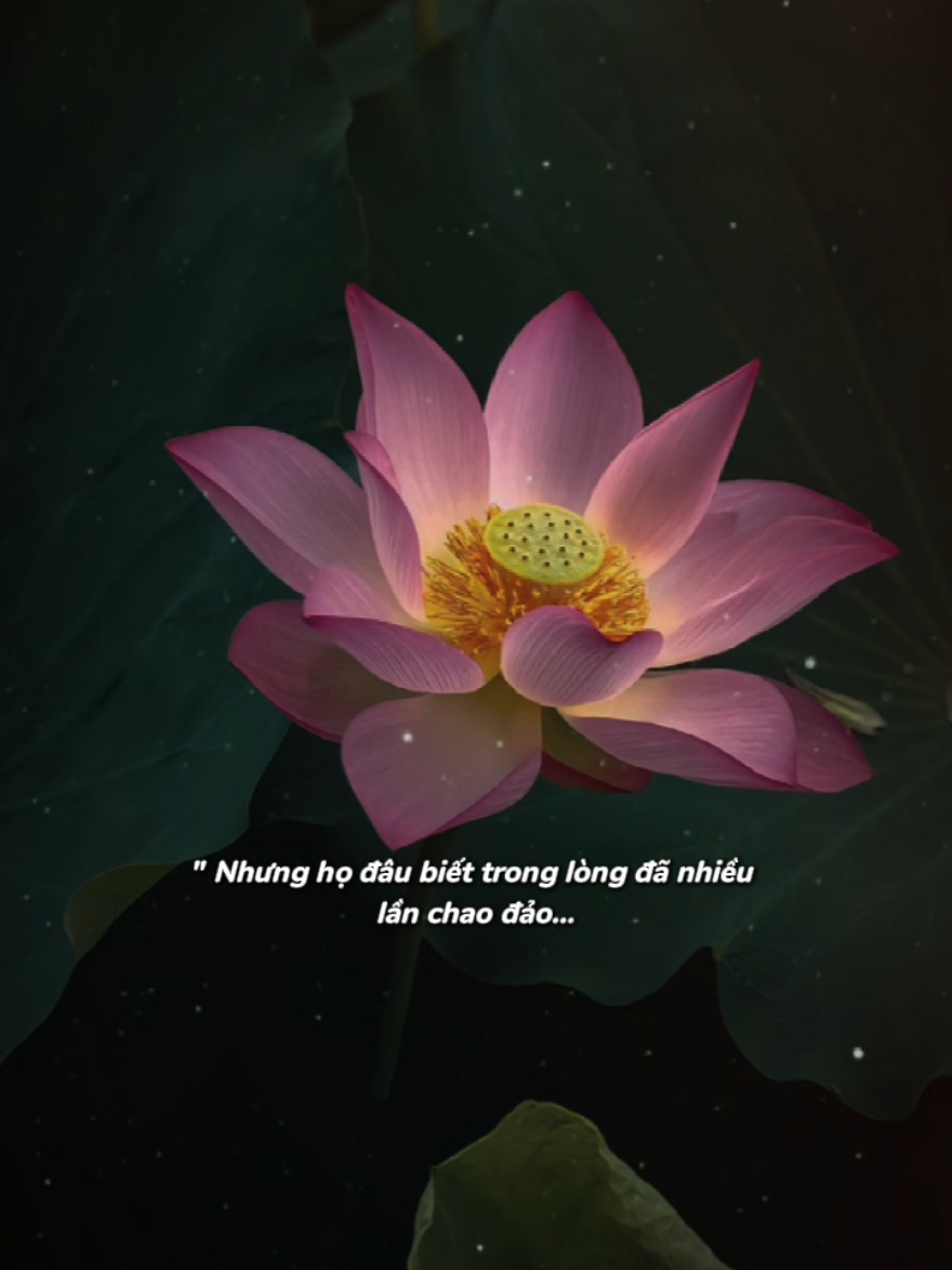 Vì biết mình chẳng bao giờ vỗ về  #chualanhtamhon #suymotdoii #podcast #xuhuong 