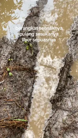 umum e wong ngaret 😄🤘