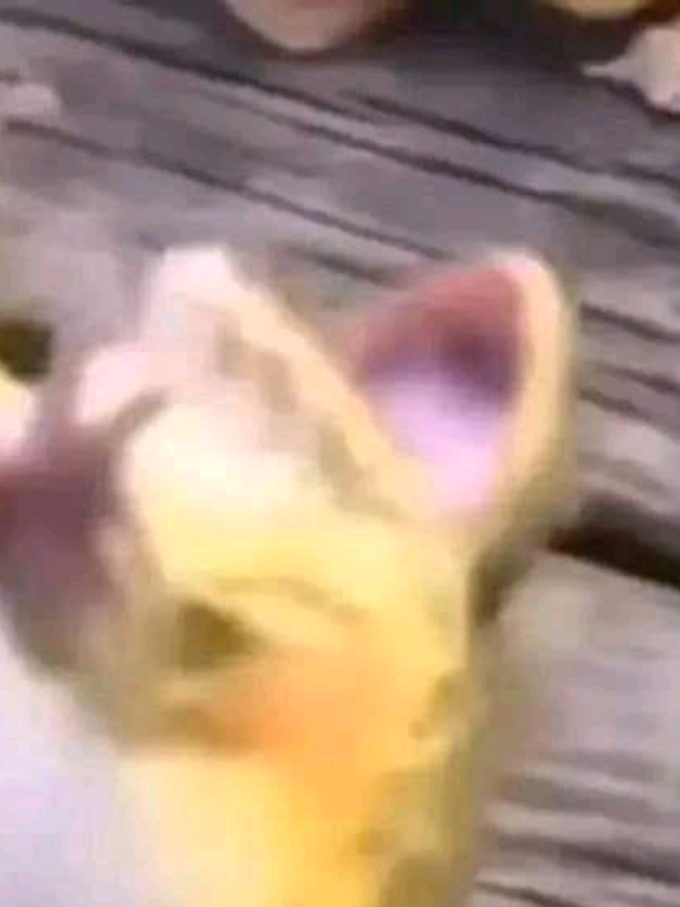 #capcut#xyzbca#foryou 