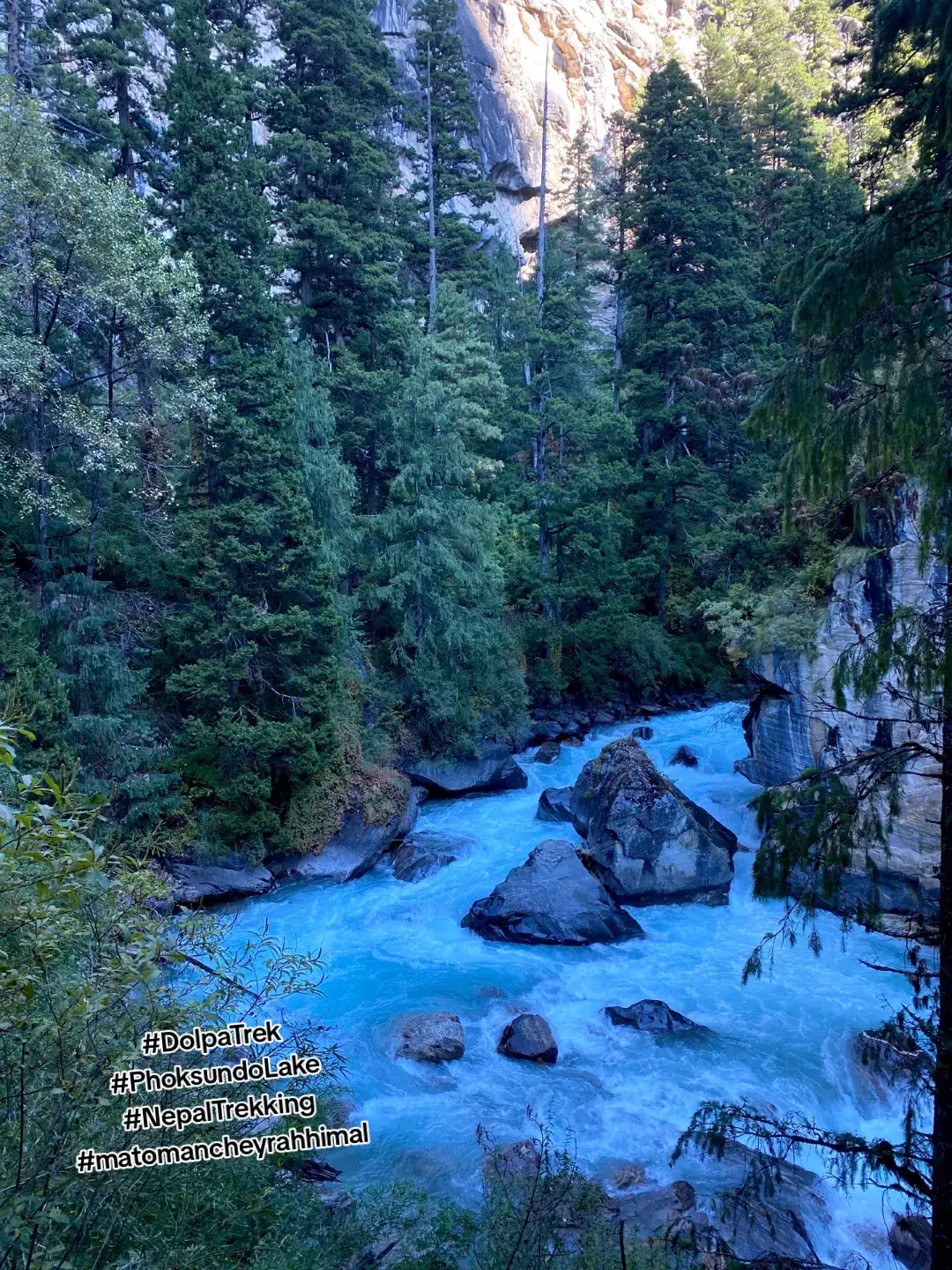 These captivating images beautifully capture the essence of the Dolpa region in Nepal, showcasing its pristine natural beauty and rich cultural heritage. The raw wilderness of Lower Dolpa, where a glacial river rushes through dense pine forests, embodying the untouched serenity of Shey Phoksundo National Park. The majestic highlands of Upper Dolpa, where snow-capped peaks rise above rugged hills, reflecting the region's dramatic alpine landscape.  The remote mountain village adorned with prayer flags beneath towering white peaks, symbolizing the deep-rooted Tibetan Buddhist culture and spiritual tranquility that define life in Dolpa. #DolpaTrek #HiddenHimalayas #PhoksundoLake  #NepalTrekking  #matomancheyrahhimal 