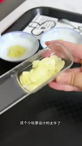 #好物推荐 #三合一姜蒜研磨器 #切片刨丝省心不费力 