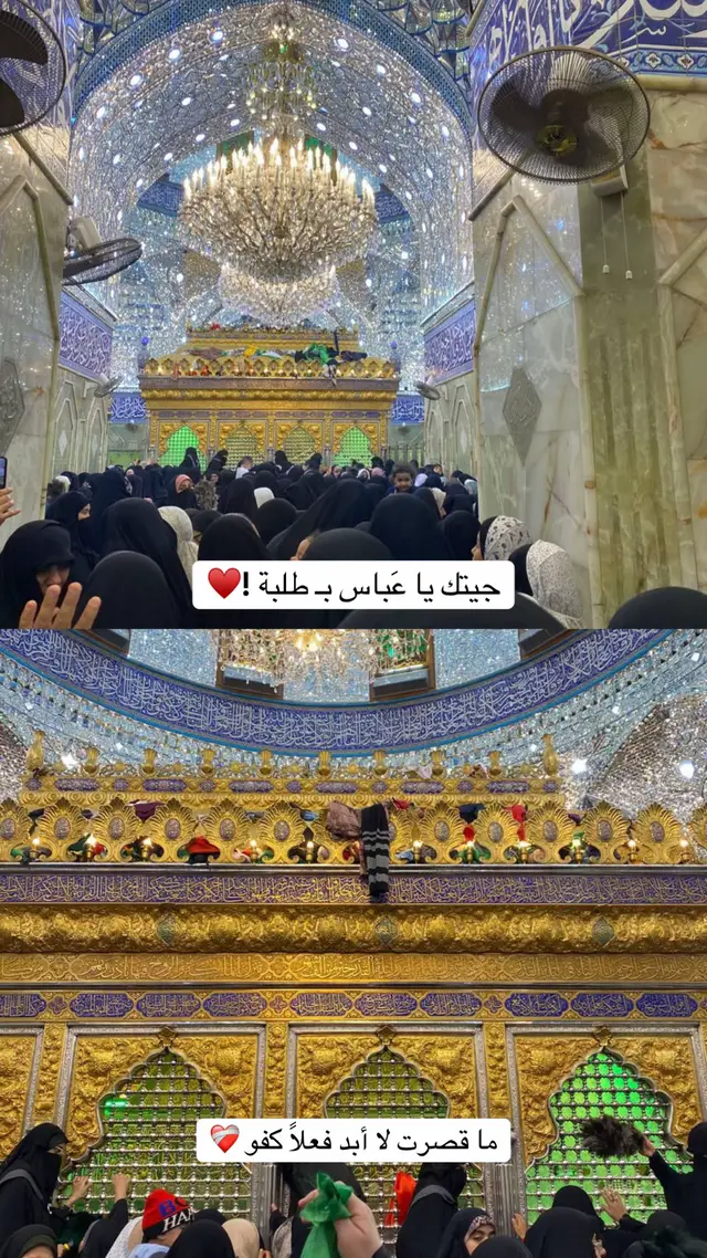 #العباس #العباس_عليه_السلام #كربلاء #اكسبلورexplore #ماقصرت 