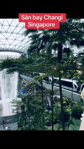 Ngày mới chúc tất cả mọi người vui vẻ và bình an 