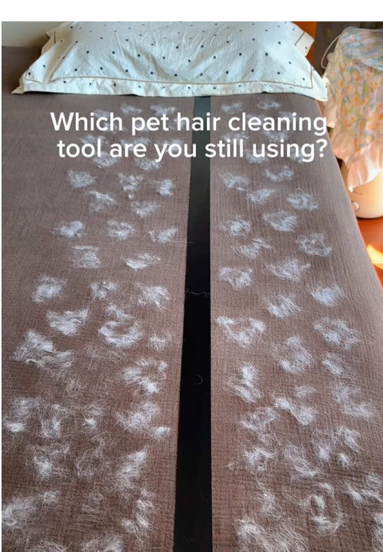 If you have pets, this glove is a game changer for keeping your home tidy👏🏻#tiktokshop #PetsOfTikTok #pethairremoval #petproducts #catsoftiktok 