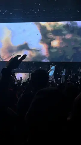 Post concert depression…#fyp #trippieredd #trippiereddconcert #concerts #fucklove 