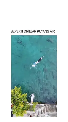 ini spesies apa😭😭