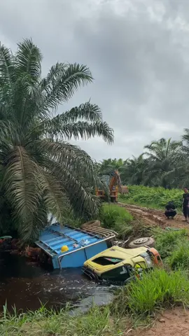 Seng sabar boloo#sopersawetkalimantan#sawitkalimantan#kalimantanbarat 