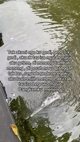 Kuat ngadepi aku yo bertahan rak kuat ngadepi aku yo munduro 🗣️#fyp 