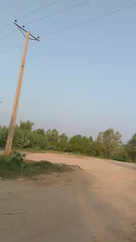 #فریوپیج #وائرل_ویڈیو____________tiktoks