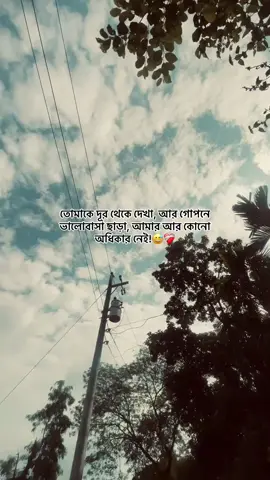 - তোমাকে দূর থেকে দেখা, আর গোপনে ভালোবাসা ছাড়া, আমার আর কোনো অধিকার নেই ...!!😅❤️‍🩹#hummm #foryoupage #nuru_vai08   
