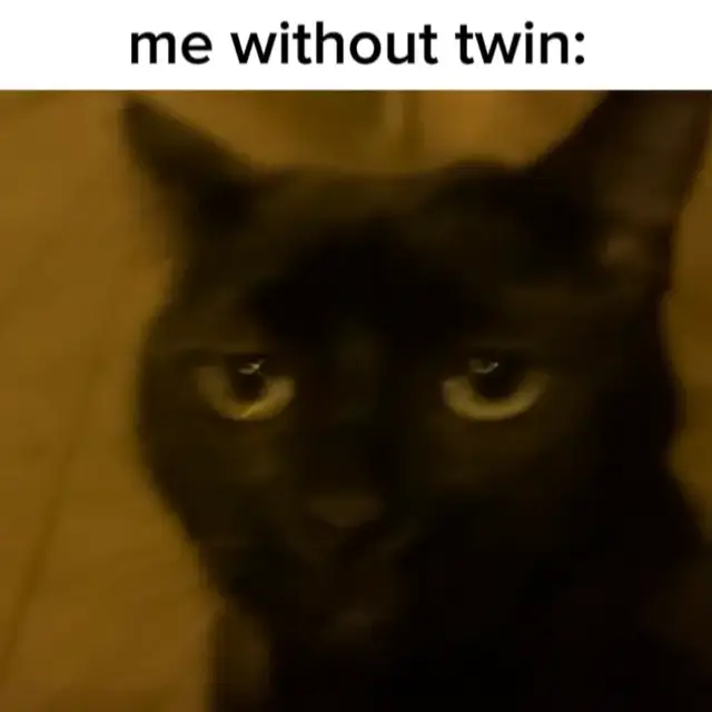 #twin #bestfriend #bestie #ily #imy @x_yxen @Ishii 