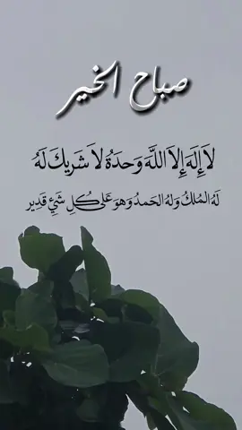 لا إله إلا الله وحده لاشريك له له الملك وله الحمد وهو على كل شيء قدير #اذكار_الصباح_والمساء #اذكار #صباح_الخير #اكسبلور #تيك_توك 