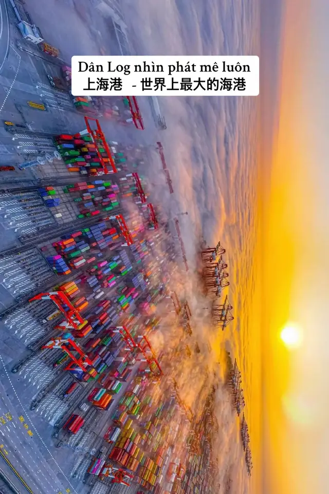 上海港 - 世界上最大的海港 #weihongguang #logistics #xuatnhapkhau #上海 #container 