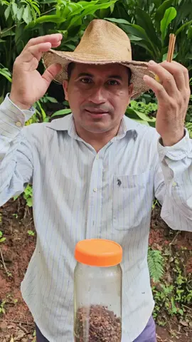 #amorporelhuerto #colesterolalto#higadograso#salud#videoviraltiktok.