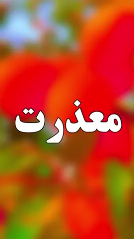 #معذرت اور شکریہ💔😓😰🙏🙏#foryou#foryoupage #viral #video #grow #account #trending#videoviral #trendingvideo #saraiki__status #saraiki #saraikipoetry #tredingpoetry #poetrystatus #poetry #سرائیکی #سرائیکی_وسیب #سرائیکی_جنون #plzzzzzzz TikTok don't under view my video💔😓🙏#plzzzzzzzzz TikTok unfreeze my account😰💔🙏@احترام یار2.0 