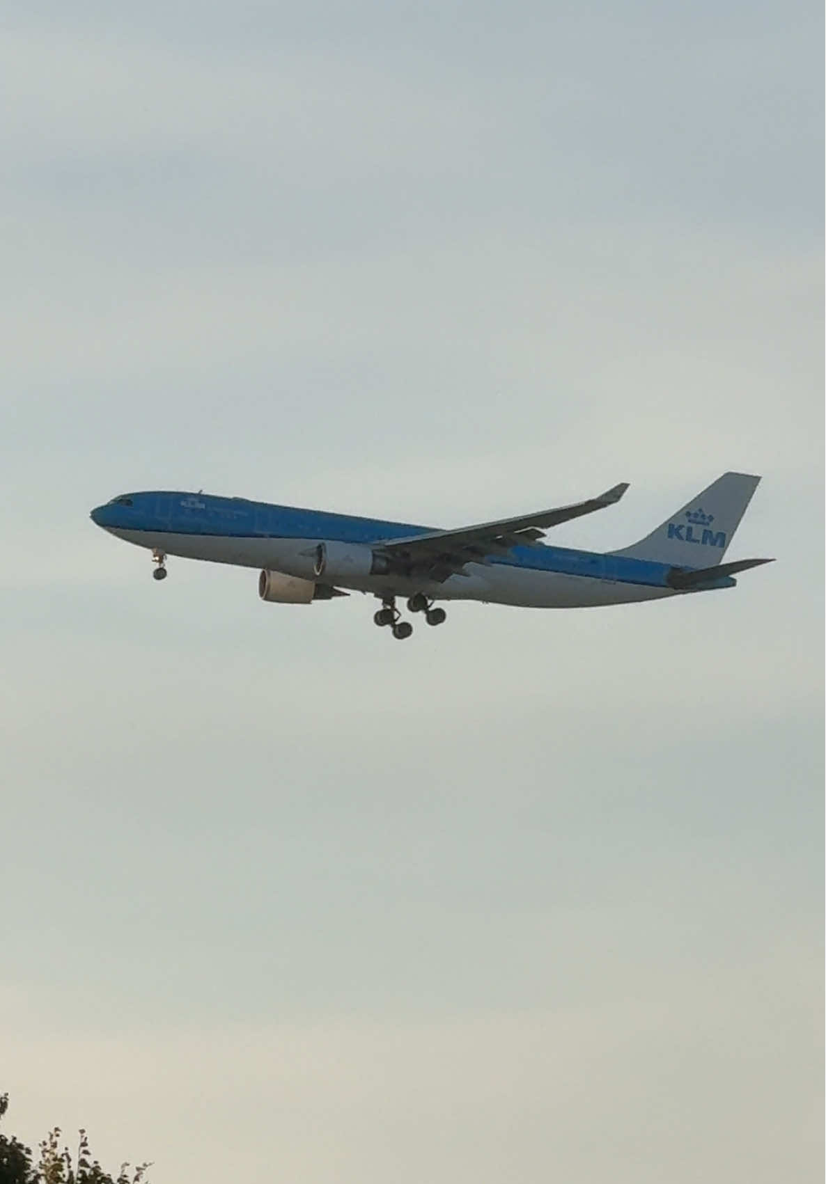 KLM Airbus A330 Amsterdam to Toronto #klm #airbus #a330 #amsterdam #toronto 