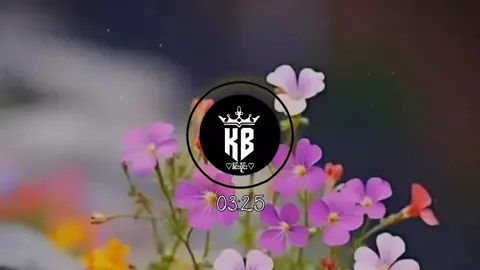 #ၽၢၵ်ႇတိၵ်းတမ်းၽွင်ႈၶႃႈၵေႃႉၶဝ်💞💞💞 #ၽဵင်းၵႂၢမ်းဝၢၼ်ဝၢၼ်🎵🎧🇱🇹🇱🇹🇱🇹🇱🇹 #မင်းတို့idolဖစ်ချင်လို့🤭💖 