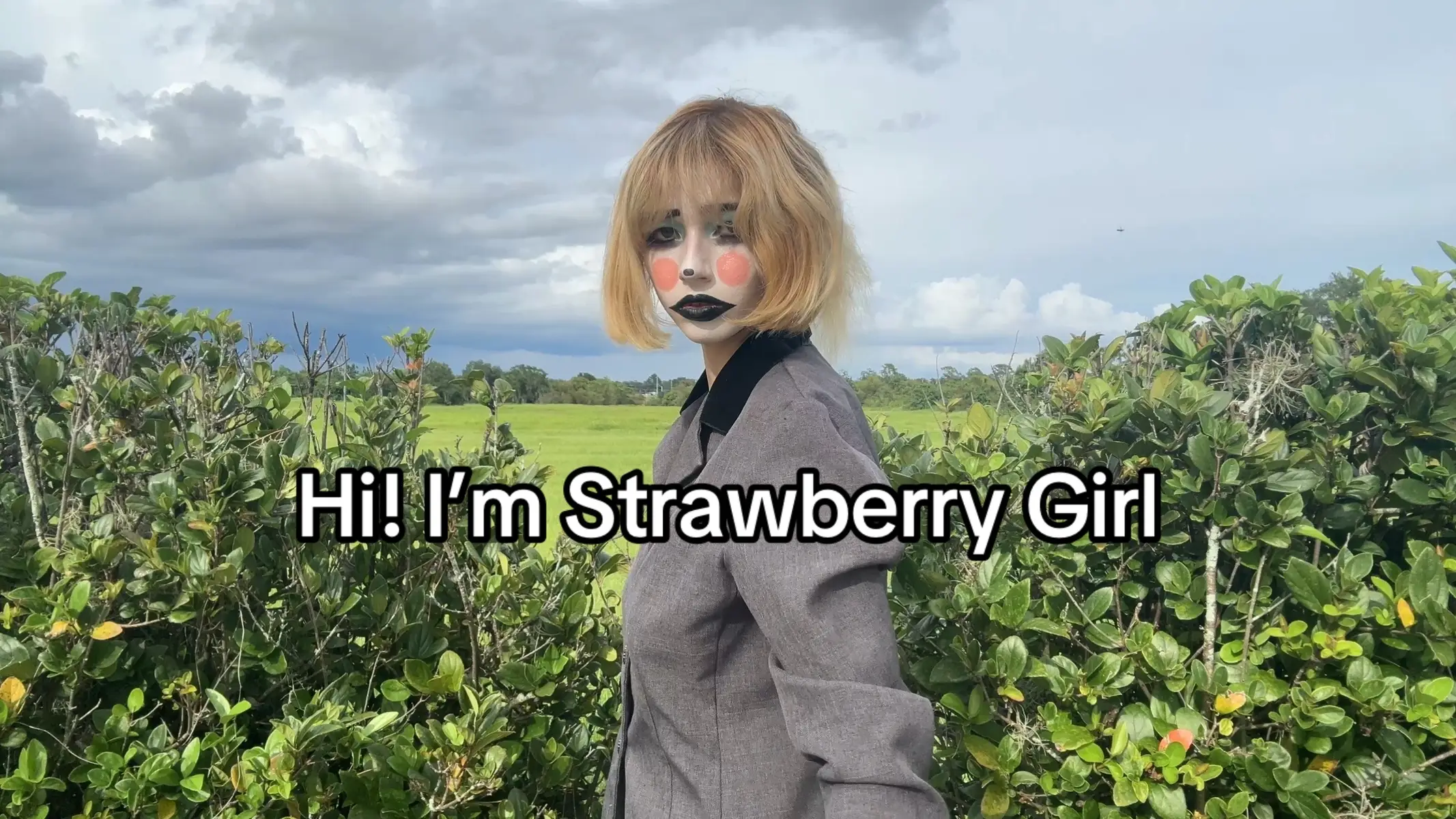 #strawberrygirlmusic #alternativemusic #altpop #electronicmusic #spotify 