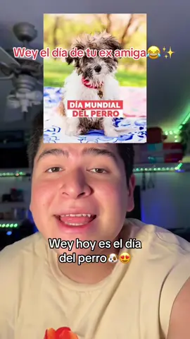 Ay amiga para que no se te olvide felicitarlo😂🐶✨! #comediahumor #humormexicano #amigas #mejoresamigas #ex 😂