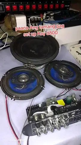 #miniamplifier  #d800