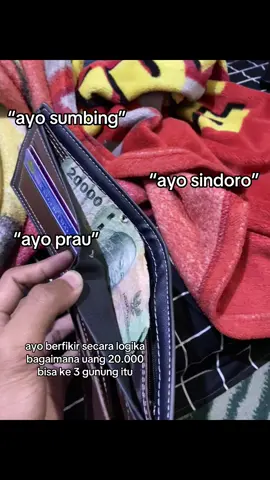 😇#sindoro #sumbing #prau #pendakian #wislist 