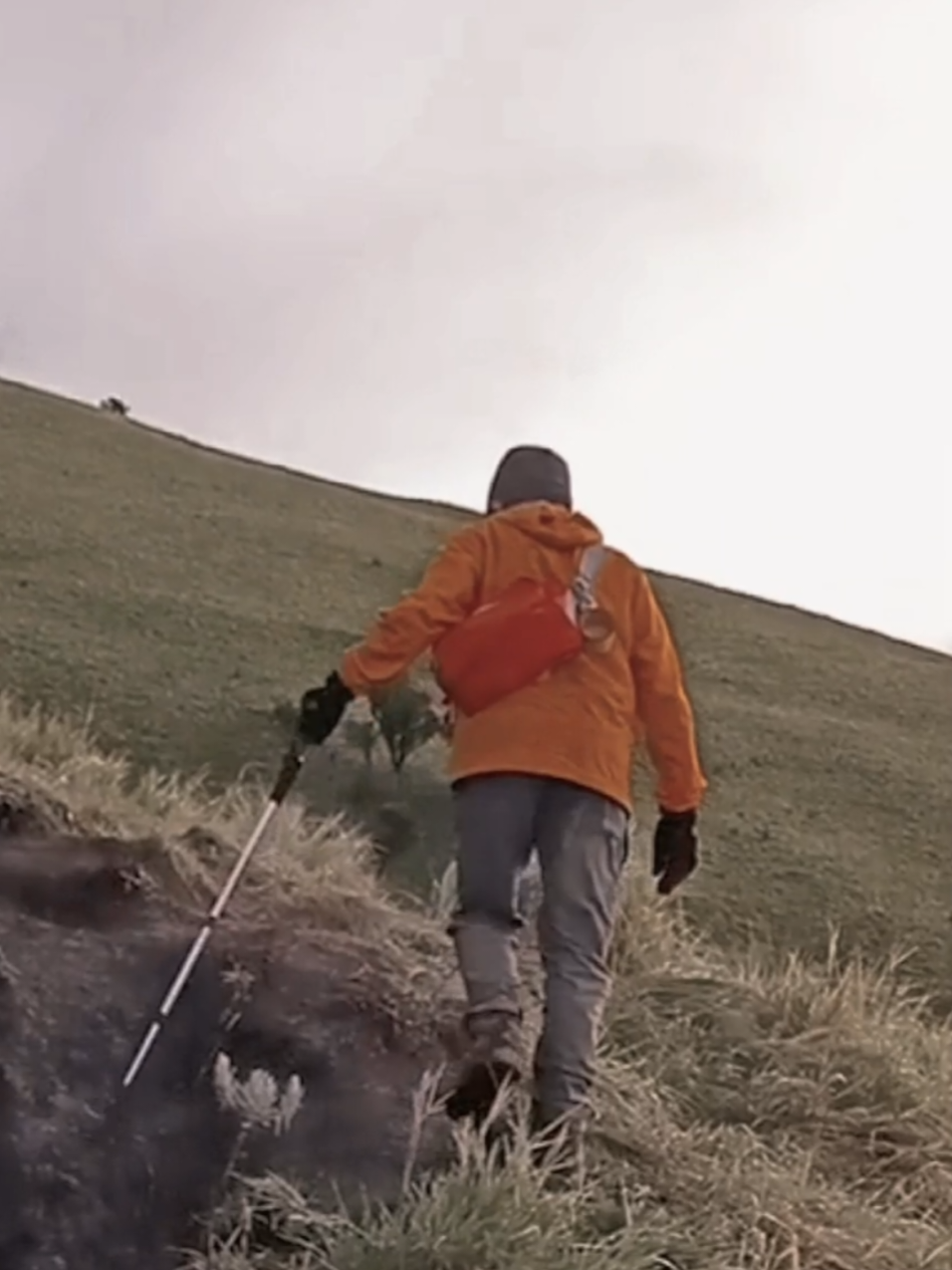 #mountain #waterfall #fypage #tracking #beach 