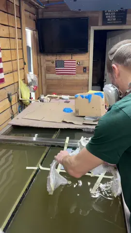 Let’s go #getit #go #shorts #trending #custom