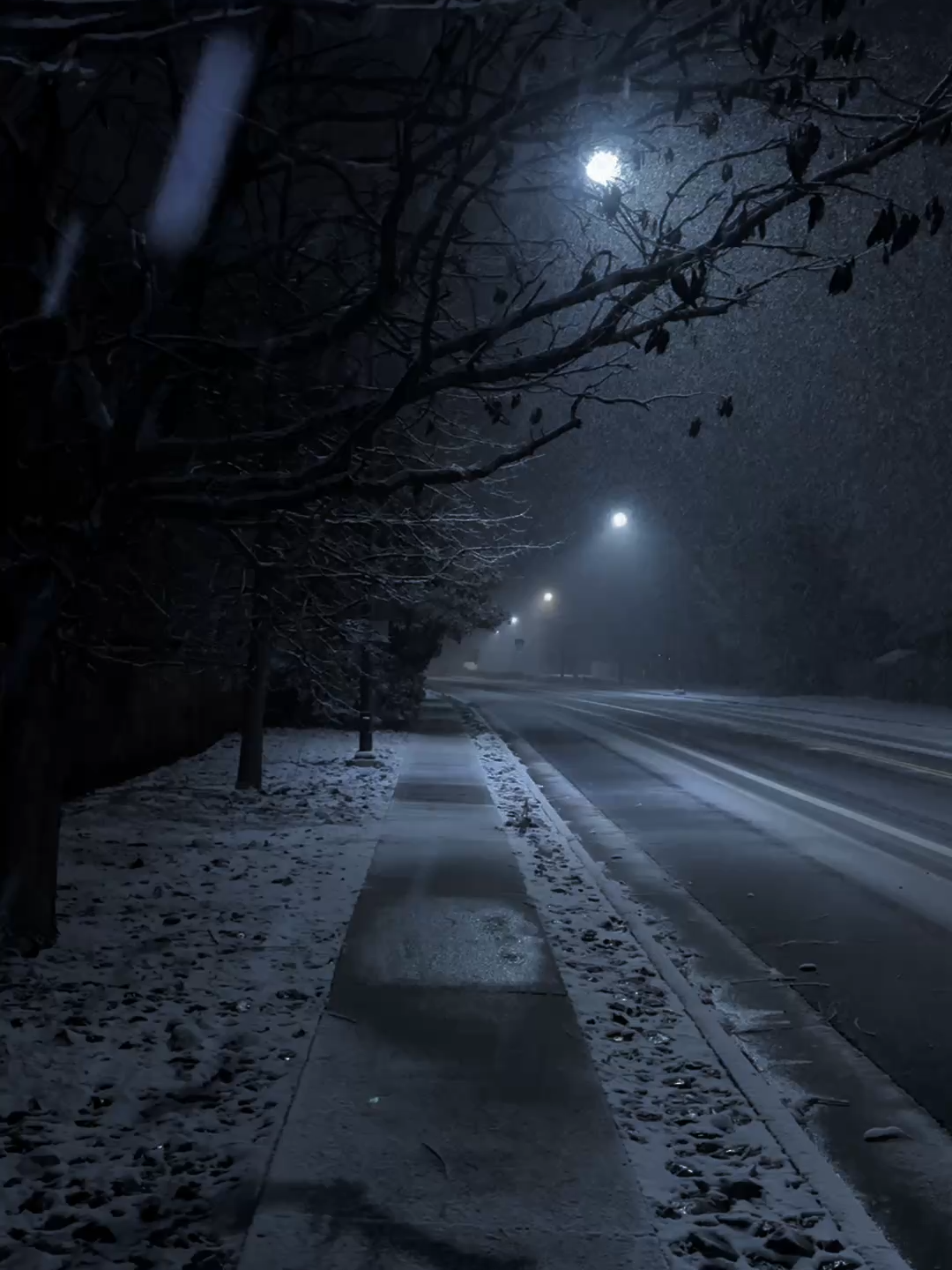 These Snowy Nights #calm #nature #darkaesthetic #naturephotography #foryourepage #aestheticwallpapers #relax #fypdong #walk #snow #calming #winterishere