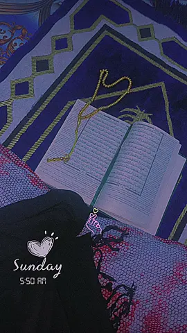 @💐Mss hindia🇮🇳 