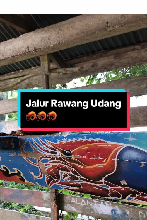 Jalur Rawang Udang dari desa Talontam kecamatan Benai, Rawang Udang merupakan jalur kebanggan nya orang Talontam dan telah melalang buana di berbagai tepian di pacu jalur. @rawangudang.official #pacujalur #rawangudang #benai #pacujalurkuantansingingi #fypage 