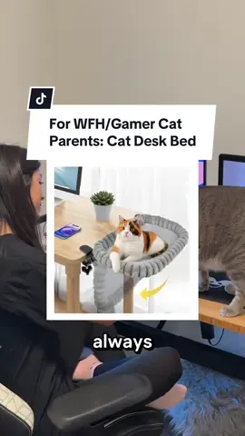 If your cat is always on your lap or keyboard… it might be time to give them their own spot 👀 (let me know if you want the Amazon link!) 🔗 I finally got this desk cat bed for my chonk and I’m obsessed !! 🤍  it was easy to build, holds up to 40 lbs, foldable, and comes with 2 washable covers. This is GUS APPROVED. ✅ He is still laying in it as I type this caption 2 hours after filming 🥹 … #catparent #catmusthaves #catbed #catproducts #catdeskbed 
